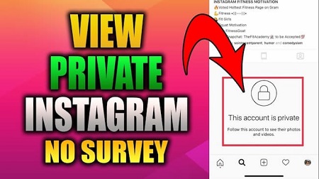 how to view private instagram profiles